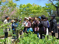 英国雑貨 GARDEN イベント/株式会社ケイ・エイ