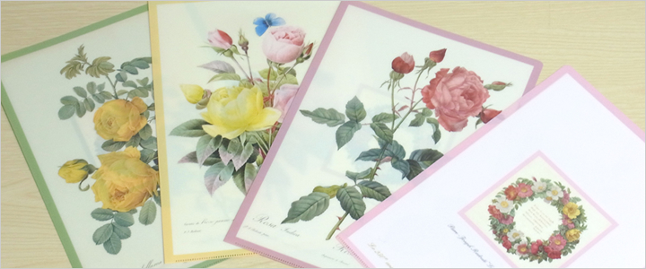 Redute Rose　ルドゥーテ・ローズ　クリアファイル